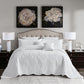 Blythease Oversized Cotton Bedspread Coverlet Set, Soft Lightweight Bedding Cover